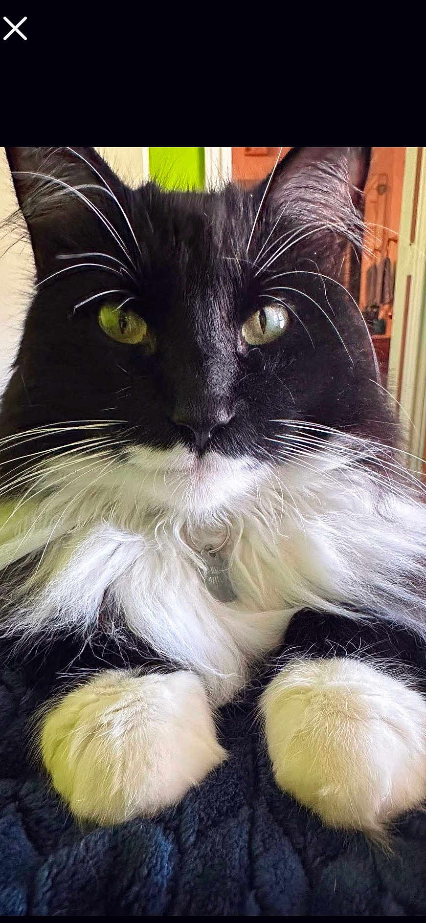 Jimmy
