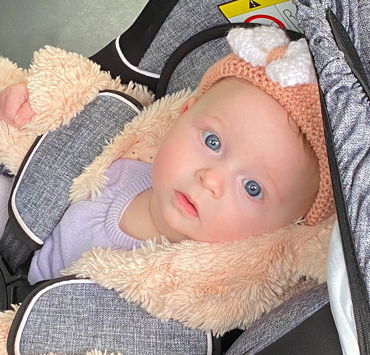 Aïvy a rejoint le concours — aidez-le/la à gagner de superbes lots ! baby, baby_products, baby_toddler_clothing, bonnet, cheek, child, comfort, eye, fur, headwear, iris, peach, person, toddler