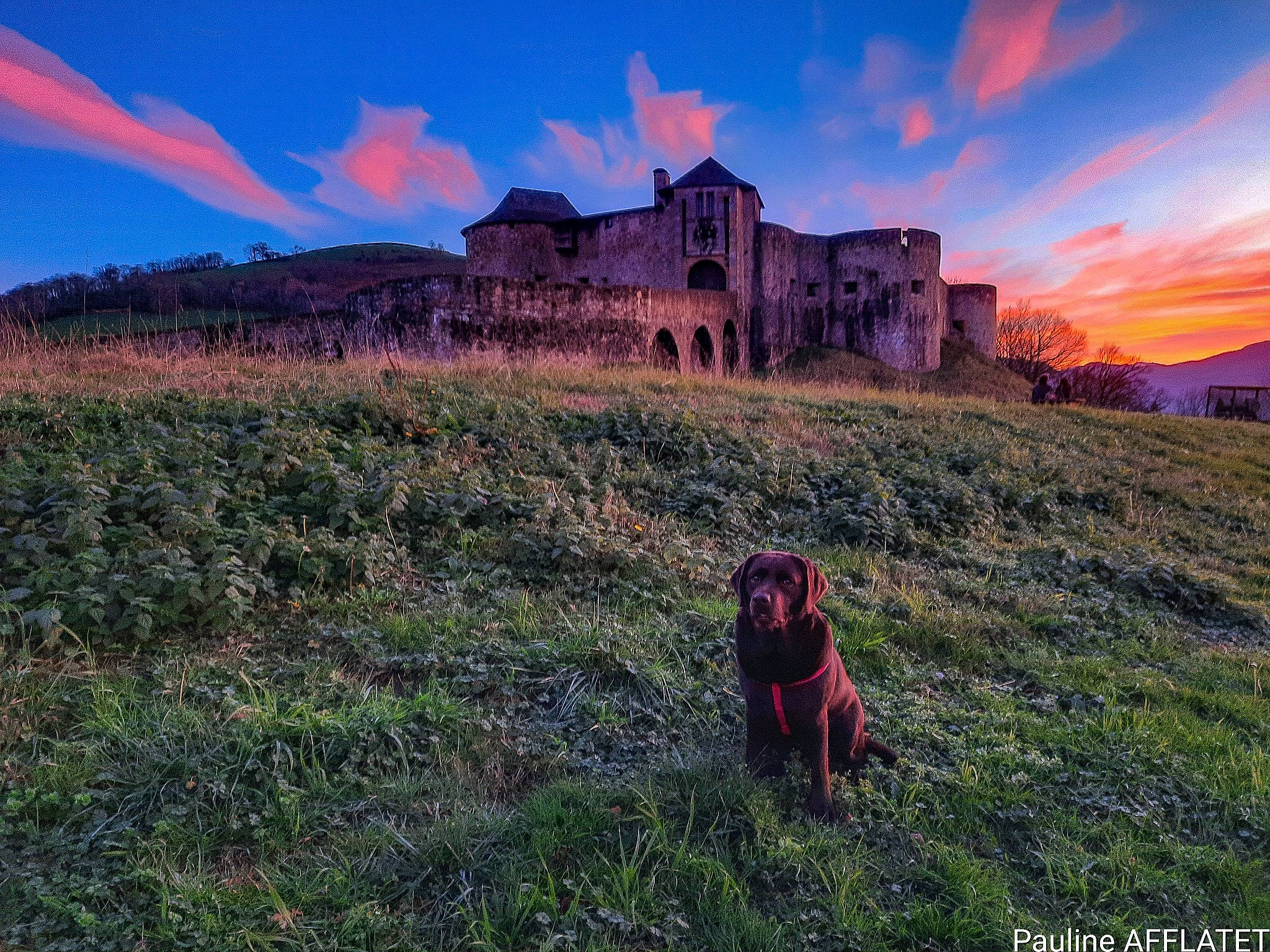 Piña participe au concours pour gagner de l'argent avec cette photo : carnivore, cloud, dog, dog_breed, dusk, ecoregion, grass, grassland, highland, hill, horizon, house, landscape, mountainous_landforms, natural_landscape, plant, rural_area, sky, sunrise, sunset