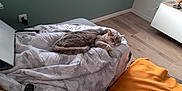 Gris-Bouille a rejoint le concours — aidez-le/la à gagner de superbes lots ! cat, tabby_cat, blanket, couch, remote_control, laptop, wooden_floor, green_wall, indoor, relaxed, feline, pet, cozy, home, soft_texture, orange_blanket, electronics, resting, living_room, comfort