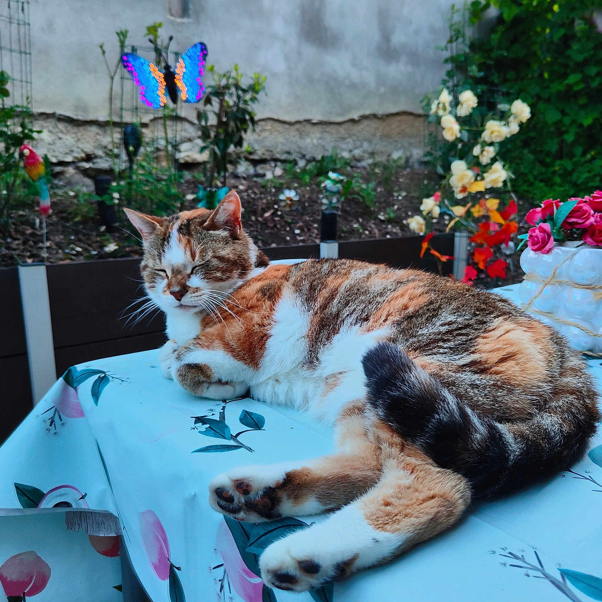 Xéna
