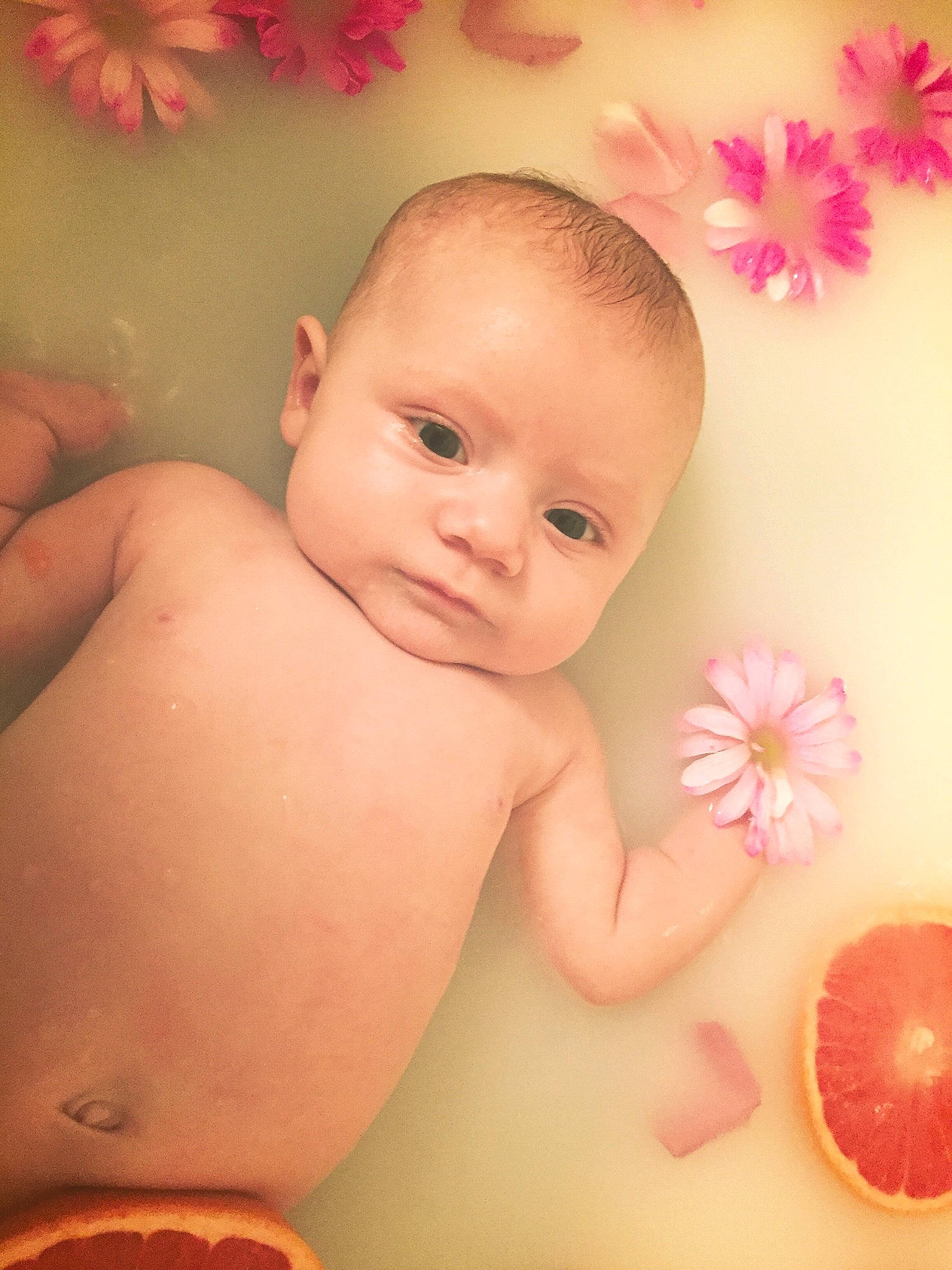 Lyla is registered to the contest to win money with this photo: baby, baby_bathing, bathing, beauty, cheek, child, close_up, face, head, lip, person, photography, pink, plant, skin, toddler