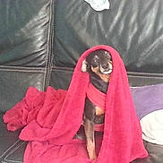 Molaine a rejoint le concours — aidez-le/la à gagner de superbes lots !