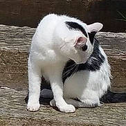 Molaine participe au concours pour gagner de l'argent avec cette photo :