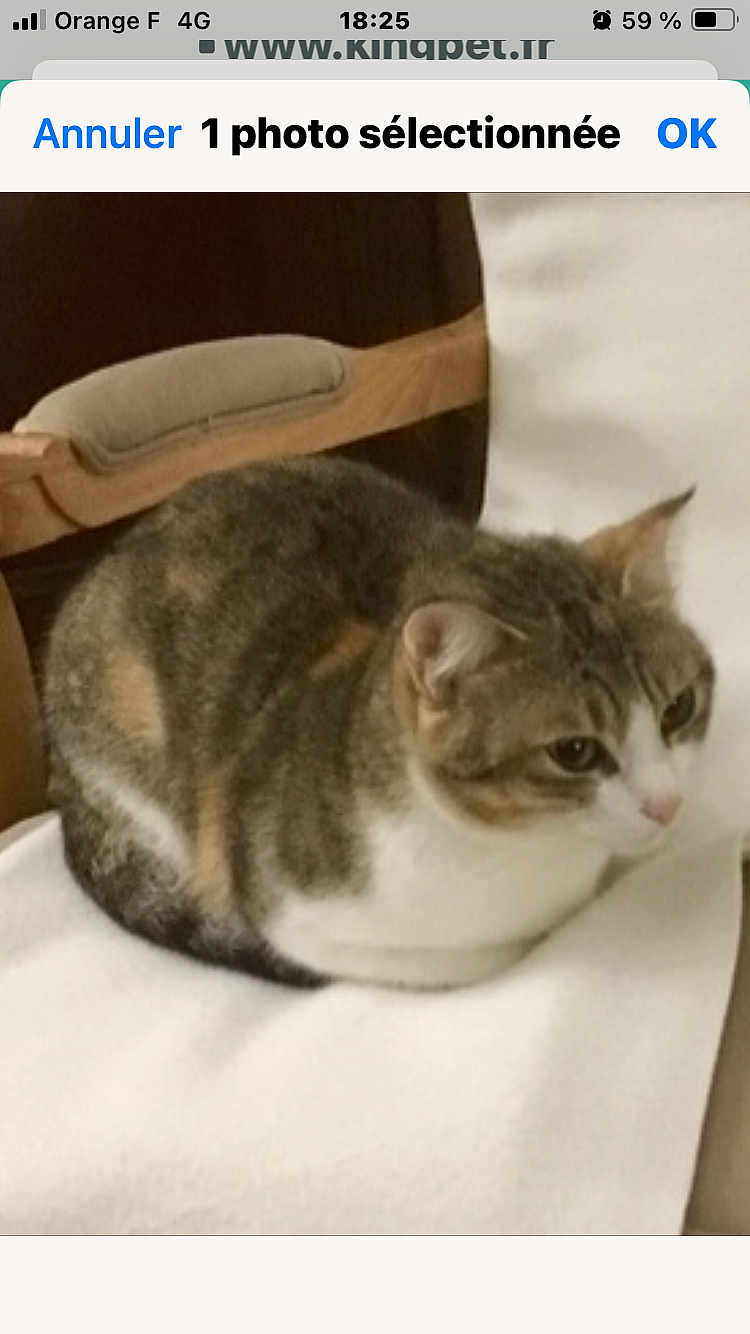 Chloé