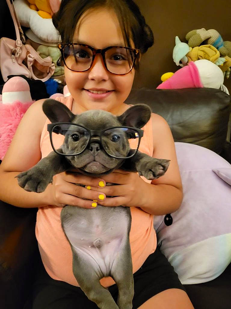 Gibby is registered to the contest to win money with this photo: abdomen, arm, black_hair, child, ear, event, eyewear, fawn, fun, glasses, hand, happy, skin, smile, snapshot, stuffed_toy, textile, thigh, toy, vision_care