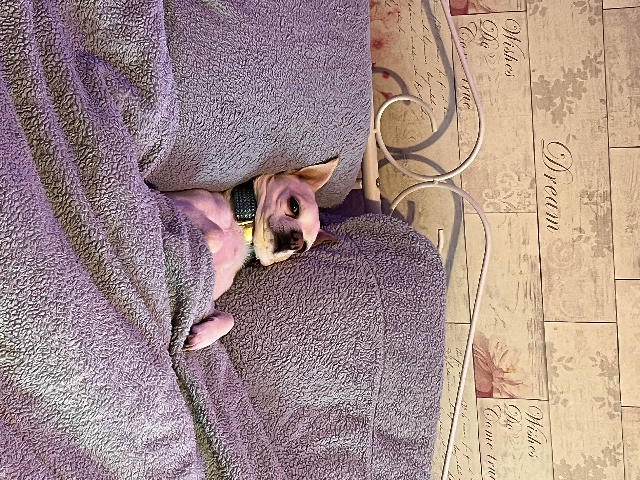 Prince joined the competition — help win amazing prizes! button, collar, denim, dress_shirt, fashion_accessory, fashion_design, font, fur, grey, jewellery, linens, magenta, pattern, peach, purple, sleeve, twig, wood, wool, woven_fabric