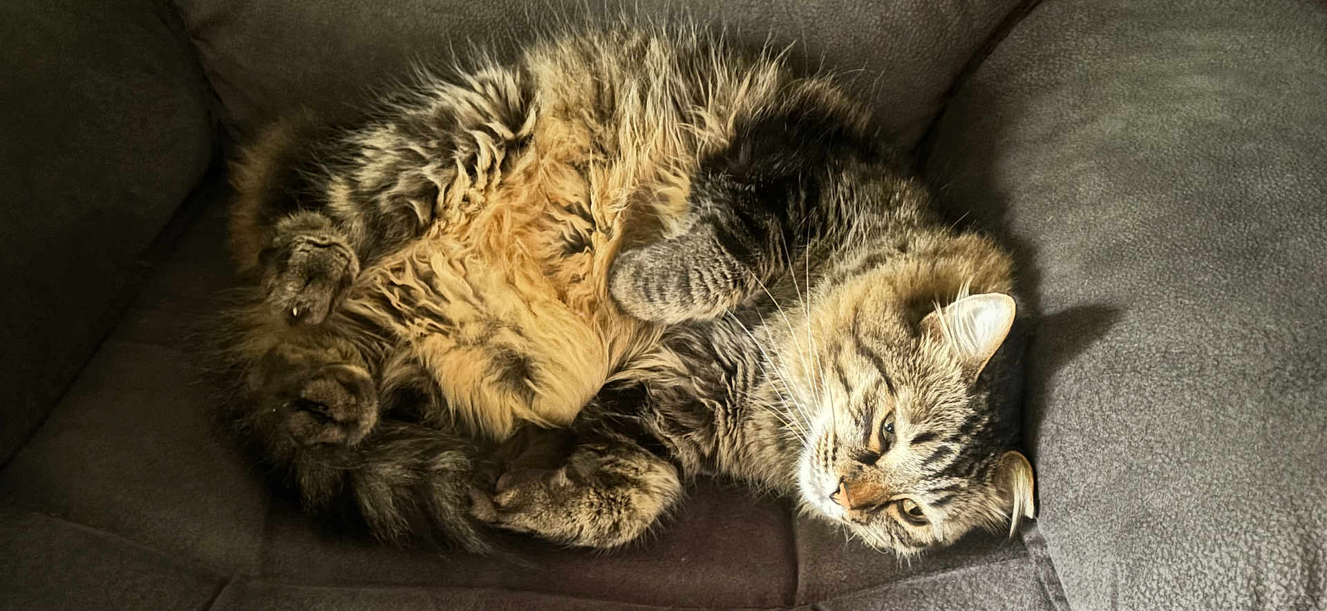 Sampson