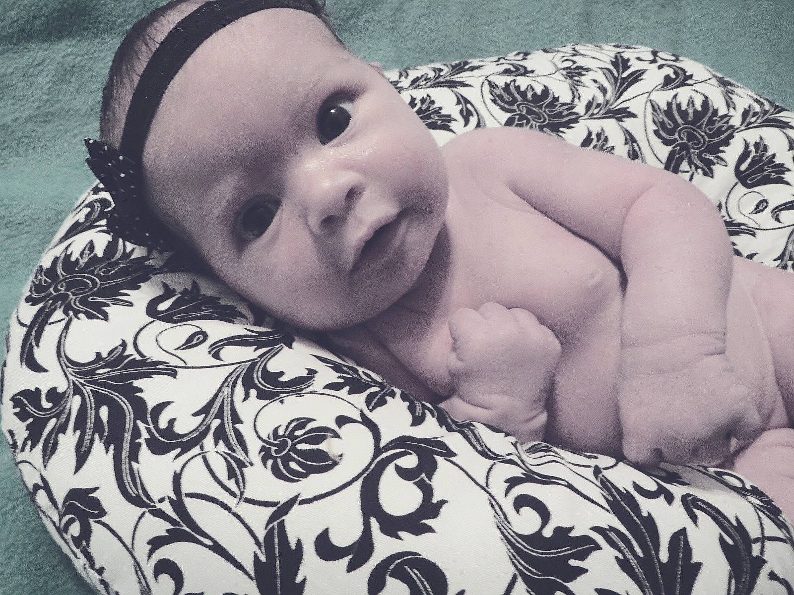 Cordelia joined the competition — help win amazing prizes!