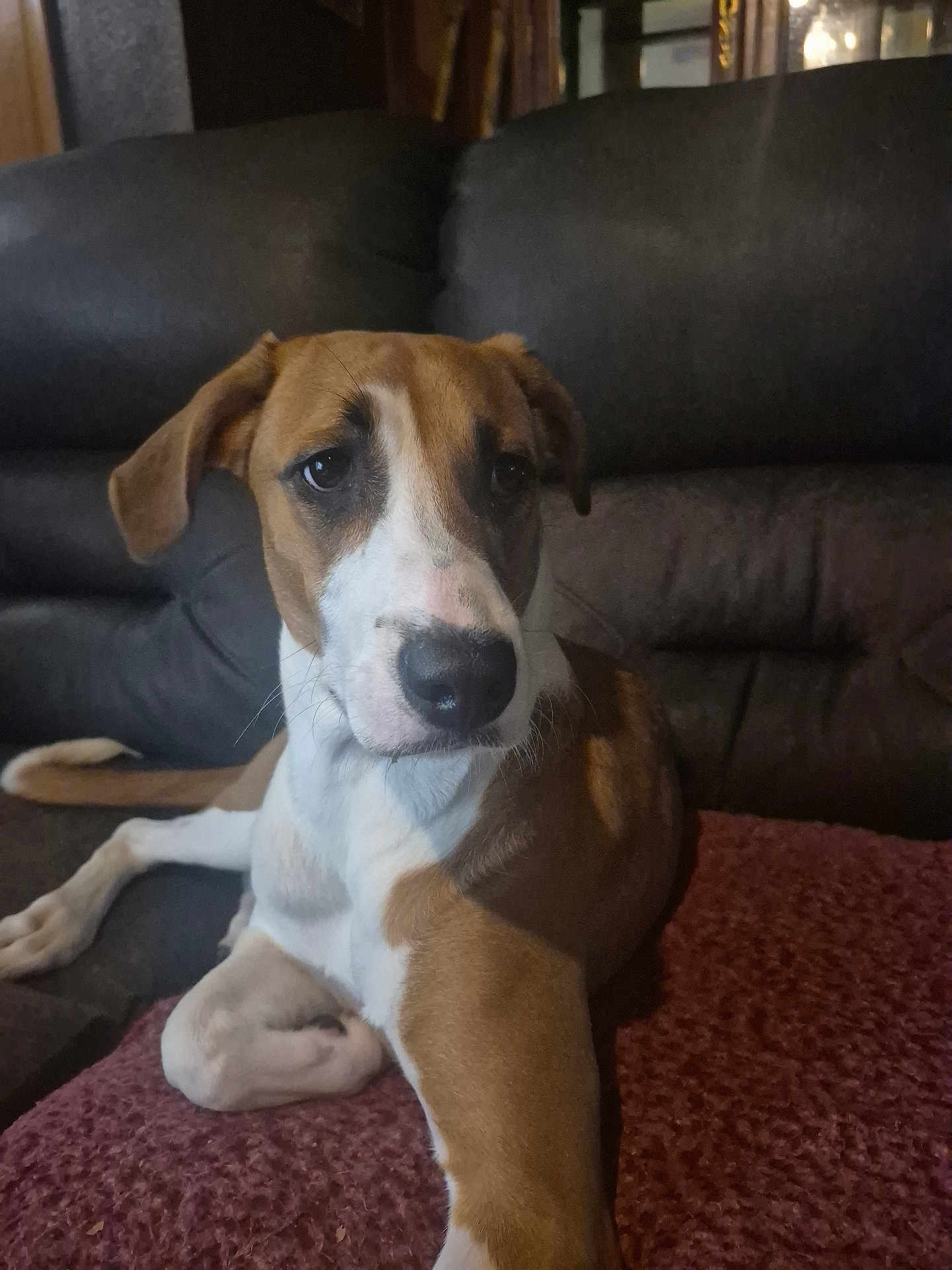Molly