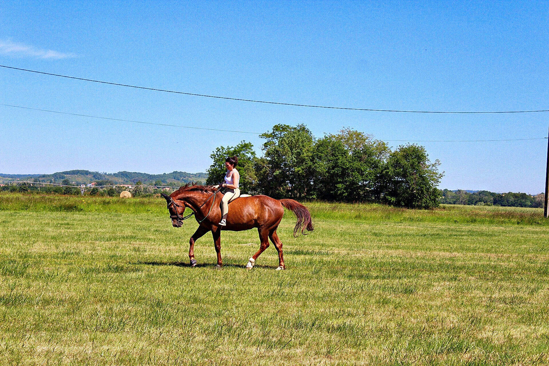 Opera Royal participe au concours pour gagner de l'argent avec cette photo : animal_sports, bridle, ecoregion, equestrianism, grass, grassland, halter, horse, mammal, mare, natural_environment, pasture, ranch, recreation, rein, saddle, stallion, steppe, trail_riding, vertebrate
