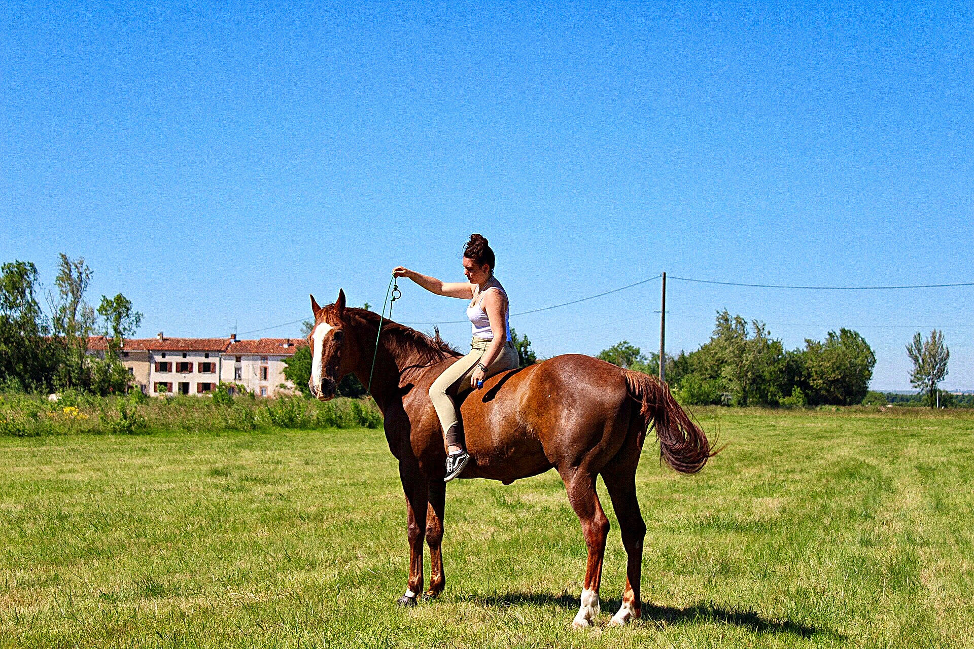 Opera Royal a rejoint le concours — aidez-le/la à gagner de superbes lots ! animal_sports, bridle, equestrian_sport, equestrianism, equitation, halter, horse, horse_supplies, horse_tack, mammal, mane, mare, mustang_horse, outdoor_recreation, ranch, recreation, rein, saddle, stallion, vertebrate