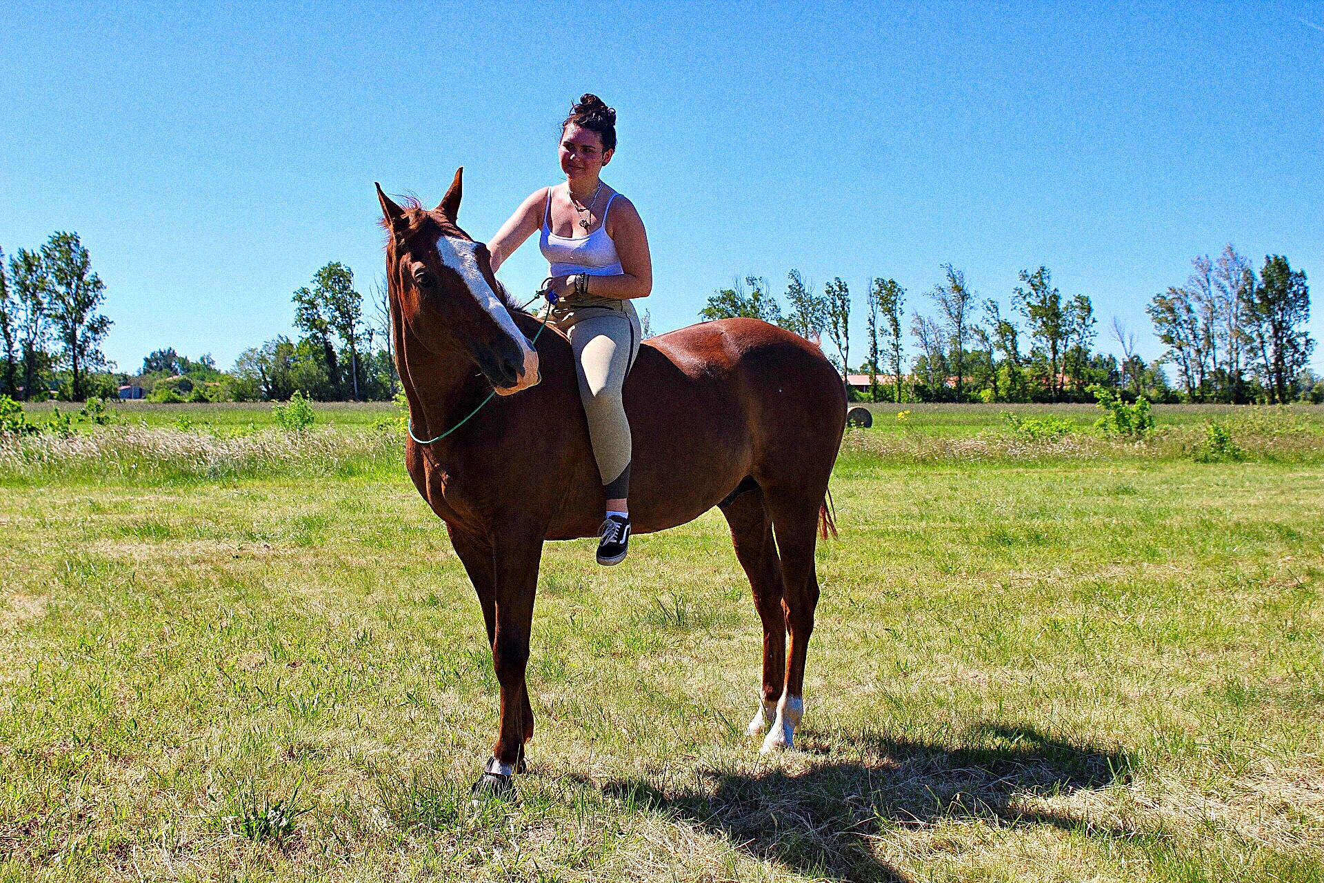 Opera Royal participe au concours pour gagner de l'argent avec cette photo : animal_sports, bridle, endurance_riding, equestrian_sport, equestrianism, grassland, halter, horse, horse_supplies, horse_tack, mammal, mare, outdoor_recreation, pasture, ranch, recreation, rein, saddle, trail_riding, vertebrate