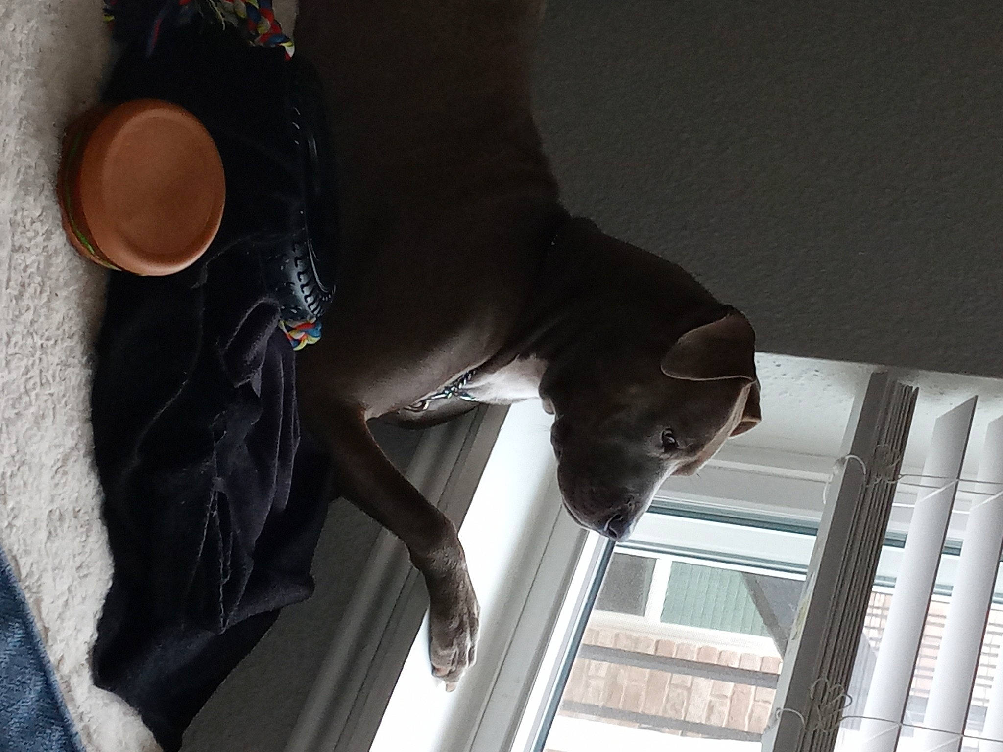 Harley joined the competition — help win amazing prizes! blazer, carmine, elbow, eyewear, fashion_accessory, grey, hat, headgear, human_leg, knee, material_property, metal, personal_protective_equipment, sleeve, street_fashion, sunglasses, textile, thigh, tints_and_shades, waist