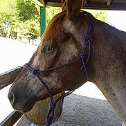 Cinnabon is registered to the contest to win money with this photo: