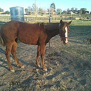 Fire is registered to the contest to win money with this photo: