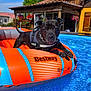 dog, inflatable_raft, pool, water, outdoor, summer, sunny, house, flowers, blue_sky, pet, animal, leisure, relaxation, garden, daytime, canine, swimming_pool, vacation, backyard