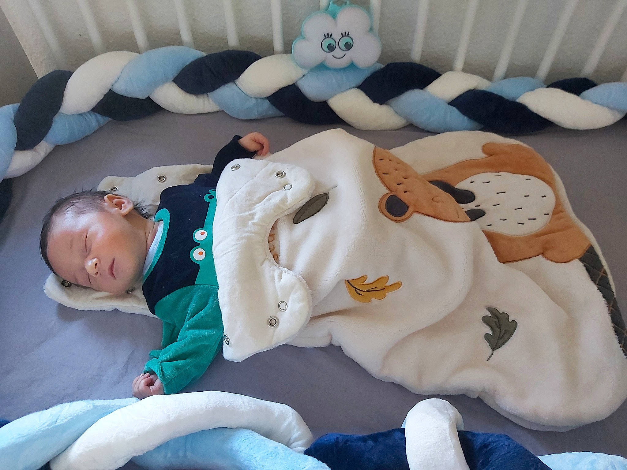 Raphaël participe au concours pour gagner de l'argent avec cette photo : baby, baby_products, baby_toddler_clothing, blue, child, comfort, electric_blue, head, infant_bed, jeans, linens, mammal, person, pillow, room, sleeve, stuffed_toy, textile, toddler, toy