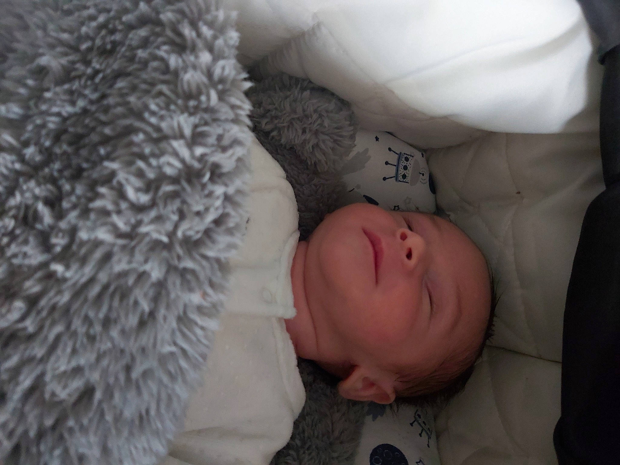 Raphaël participe au concours pour gagner de l'argent avec cette photo : baby, baby_sleeping, bedding, bedtime, child, comfort, eyelash, fur, grey, linens, nap, nose, pattern, person, portrait_photography, room, sleep, textile, toddler, tree
