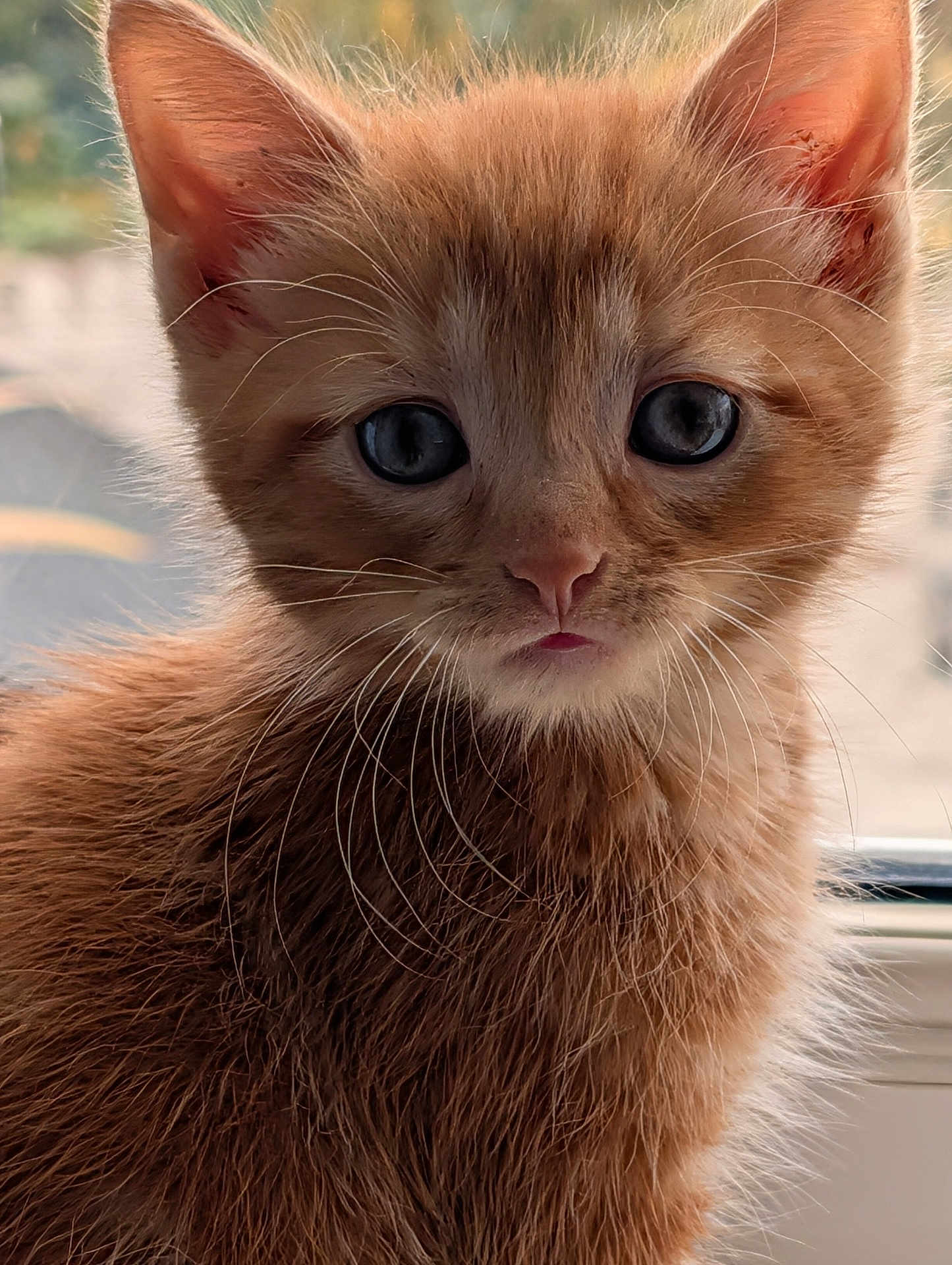 Lionel