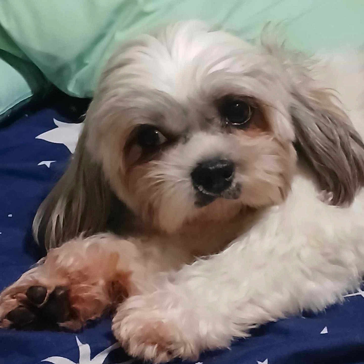 Cassy