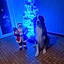 dog, santa_claus_figurine, christmas_tree, blue_lights, indoor, tile_floor, decorations, holiday, festive, black_and_white, pet, canine, ornaments, soft_lighting, background, wall, door, holiday_decor, christmas, winter