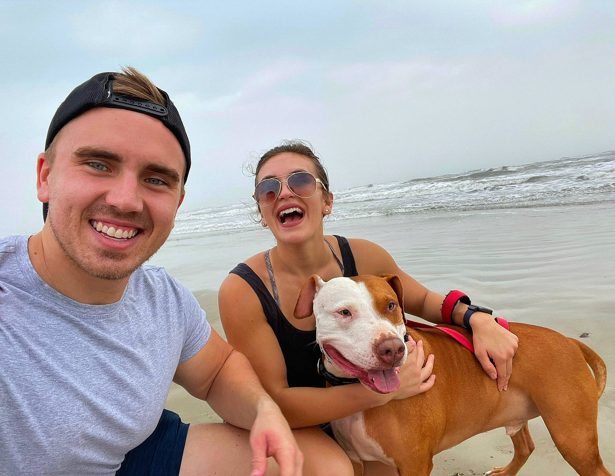 Stanley is registered to the contest to win money with this photo: beach, carnivore, cloud, companion_dog, dog, dog_breed, eyewear, fawn, fun, goggles, happy, hat, leisure, people_on_beach, sky, smile, summer, sunglasses, travel, water
