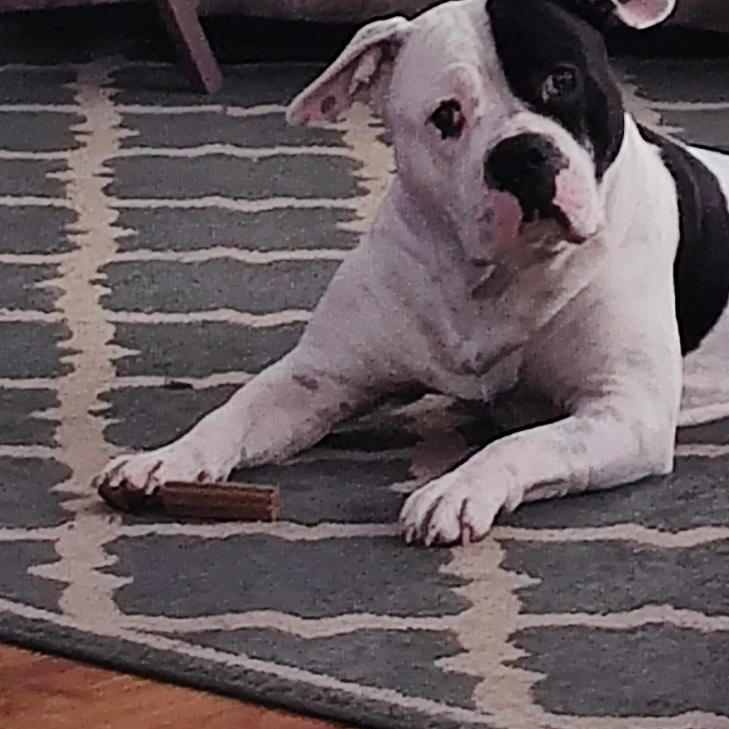Cruz