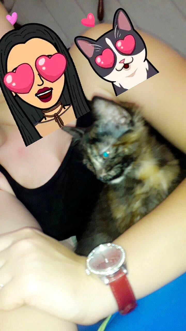 Oggy a rejoint le concours — aidez-le/la à gagner de superbes lots ! black_hair, cat, fur, glasses, photography, whiskers