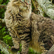 Jade a rejoint le concours — aidez-le/la à gagner de superbes lots !