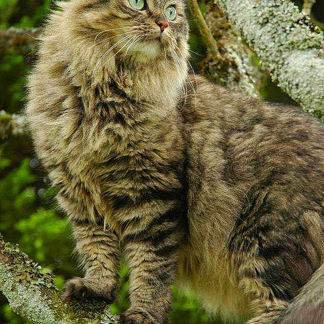 Jade a rejoint le concours — aidez-le/la à gagner de superbes lots !