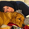 Moose is registered to the contest to win money with this photo: person, dog, golden_retriever, sleeping, hoodie, blanket, indoor, resting, cozy, pet, companion, casual_clothing, relaxation, fur, laying_down, comfort, young_adult, animal, face, closeup