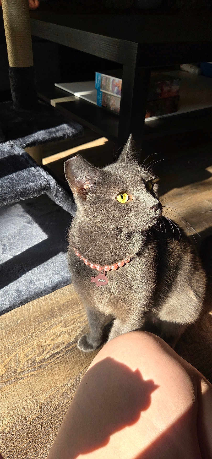 Zara