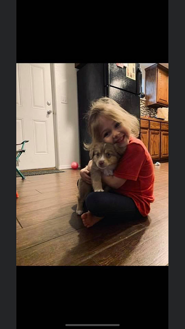 Karsyn joined the competition — help win amazing prizes! child, companion_dog, floor, flooring, human, joy, person, photo_caption, photograph, photography, sitting, snapshot, sporting_group, square, wood