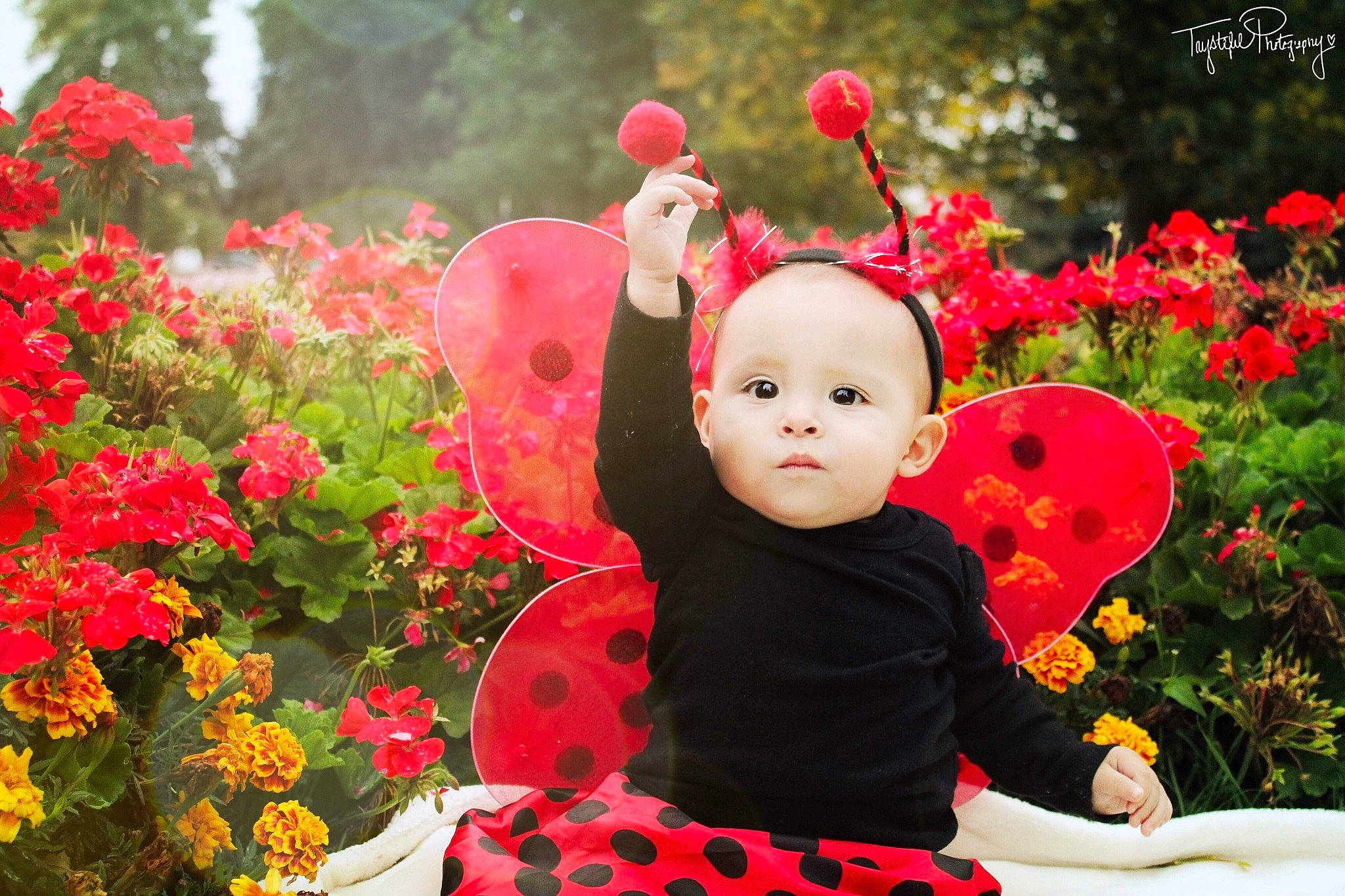 Mayla joined the competition — help win amazing prizes! child, flora, floristry, flower, flowering_plant, fun, girl, happiness, infant, leaf, peony, person, petal, plant, red, rose, rose_family, rose_order, smile, spring