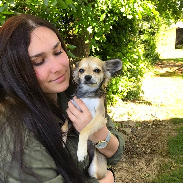 Pêche participe au concours pour gagner de l'argent avec cette photo : canidae, carnivore, companion_dog, dog, dog_breed, fawn, forest, fur, garden, grass, happy, people_in_nature, plant, puppy_love, sitting, sporting_group, tree, watch, wildlife, window