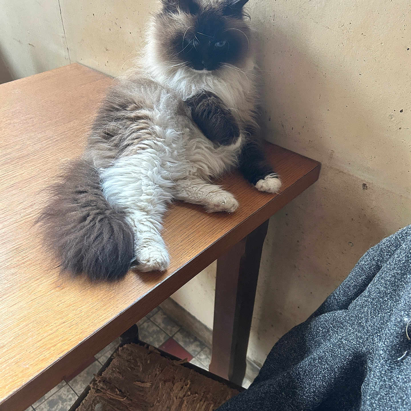 Frida