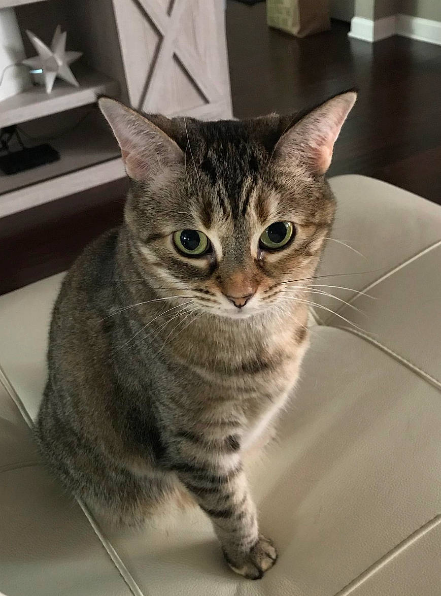 Nadia