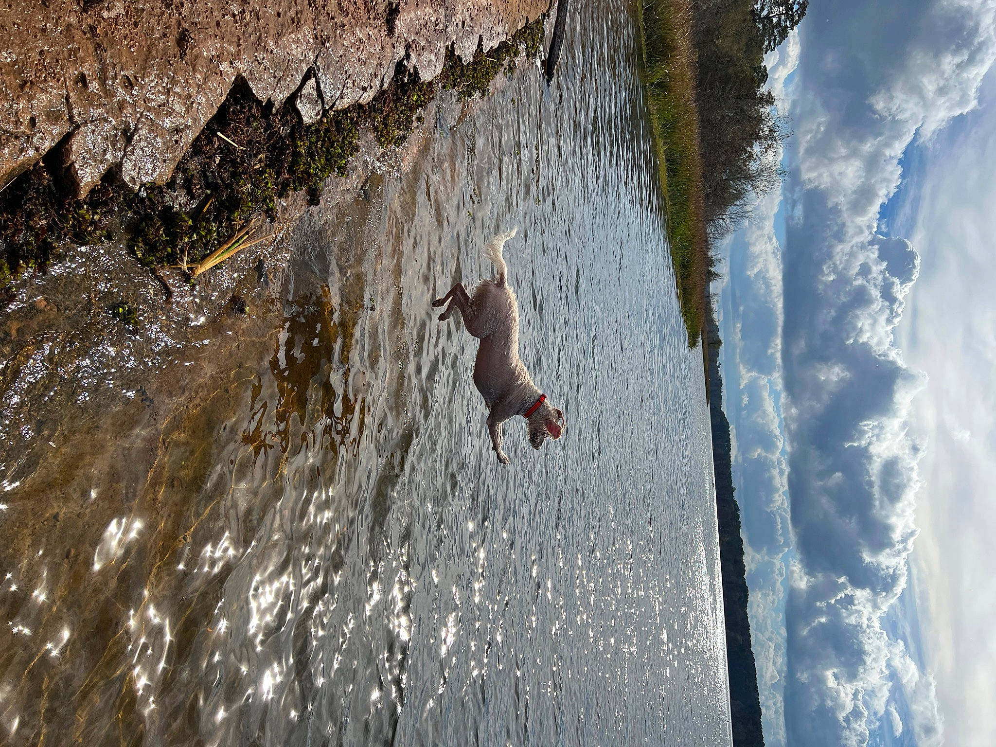 Oakley is registered to the contest to win money with this photo: bedrock, body_of_water, cloud, extreme_sport, formation, klippe, lake, recreation, rock, sky, sport_climbing, sunlight, tree, trunk, water, water_feature, watercourse, wave, wind_wave, wood
