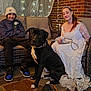 Oreo joined the competition — help win amazing prizes! black_dog, brick_wall, casual_clothing, couch, curious_expression, dog, floor, hat, indoor, lace, leash, man, person, sitting, smile, string_lights, white_dress, white_markings, wicker_furniture, woman