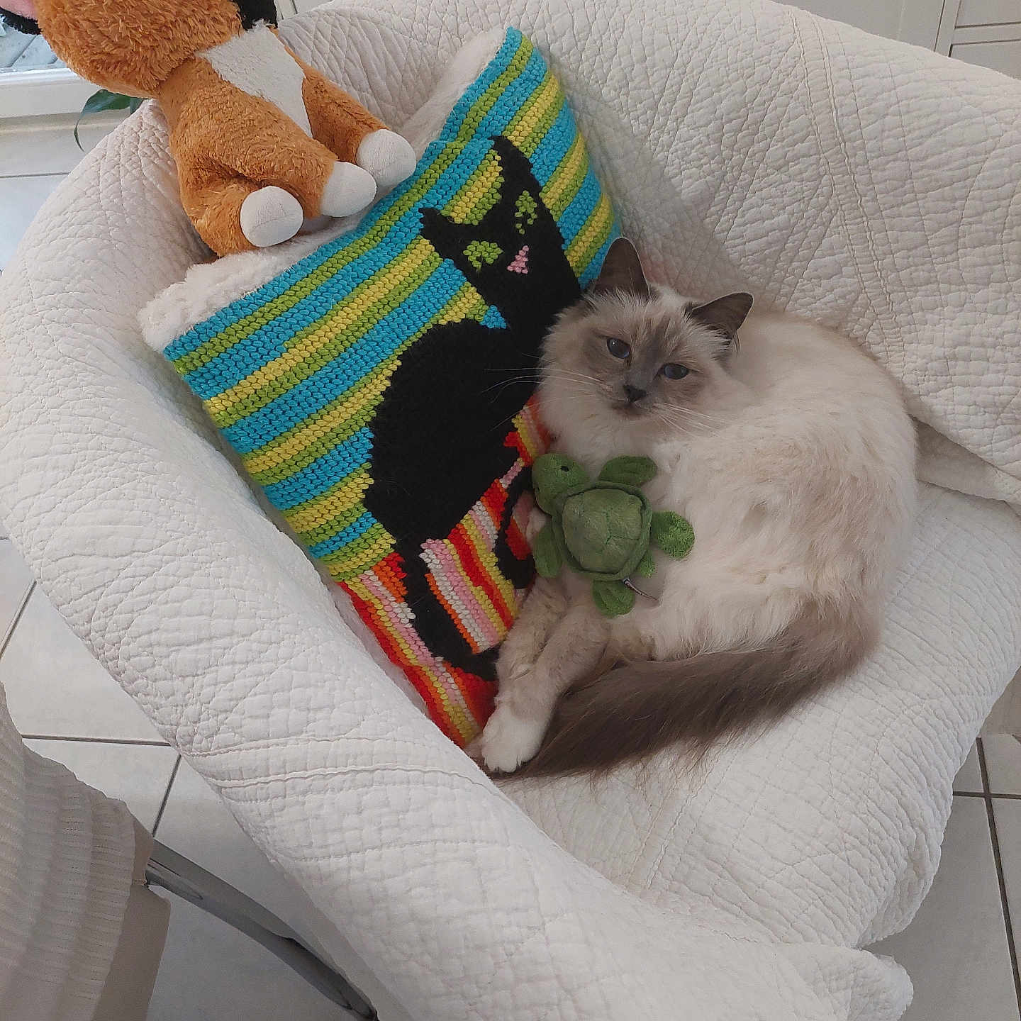 Boumboum a rejoint le concours — aidez-le/la à gagner de superbes lots ! cat, kitten, fluffy, cream_fur, blue_eyes, pet, stuffed_animal, toy, green_toy, chair, quilted_chair, pillow, striped_pillow, indoors, living_room, cozy, sitting, lounging, portrait, home_decor