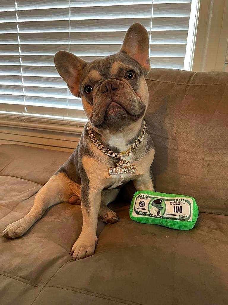 Kona