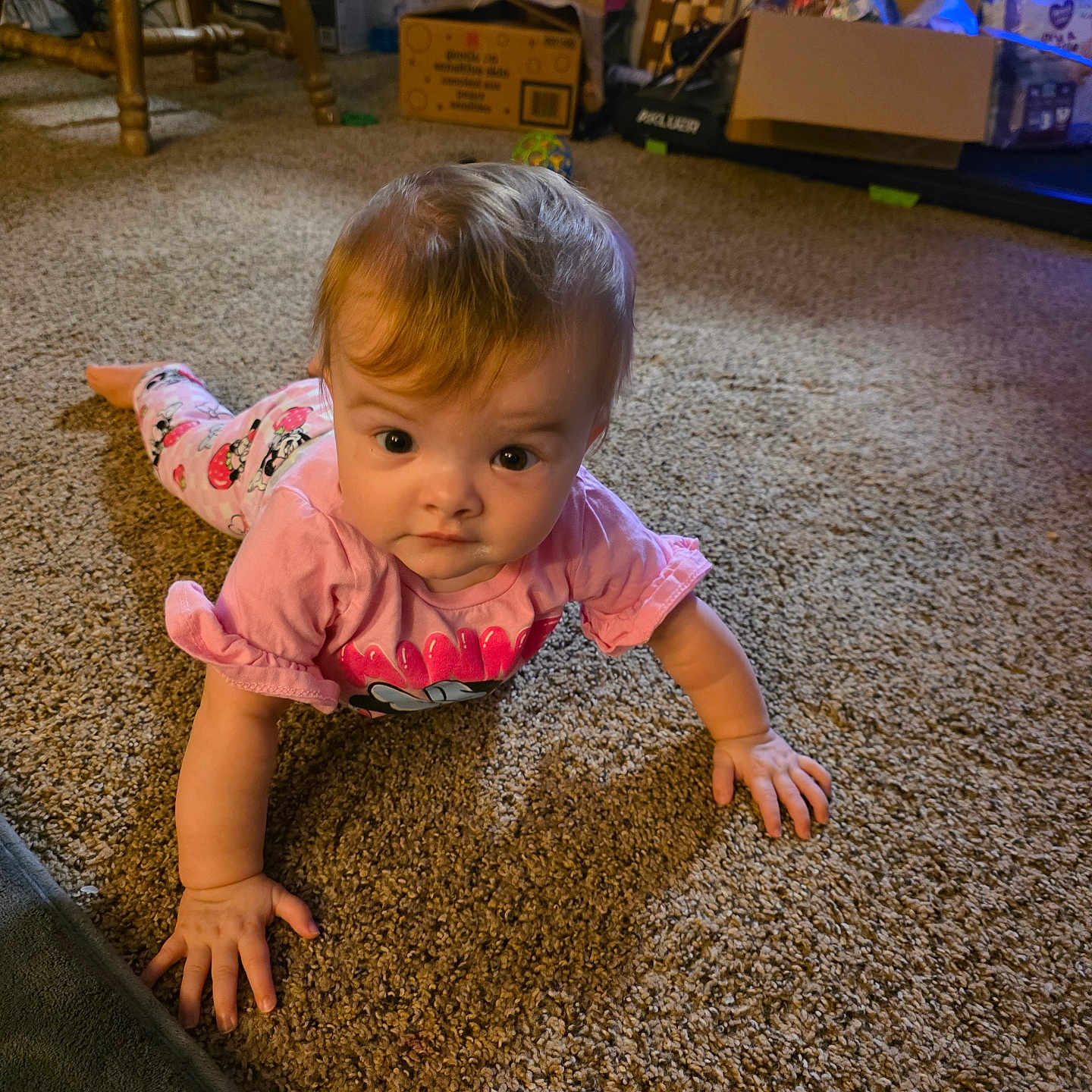 Sophia