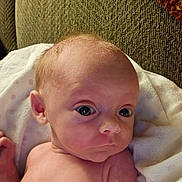 Ember is registered to the contest to win money with this photo: baby, newborn, infant, face, skin, blanket, couch, texture, expression, wide_eyes, head, ear, shoulder, soft_light, indoors, portrait, person, human, young_child, resting