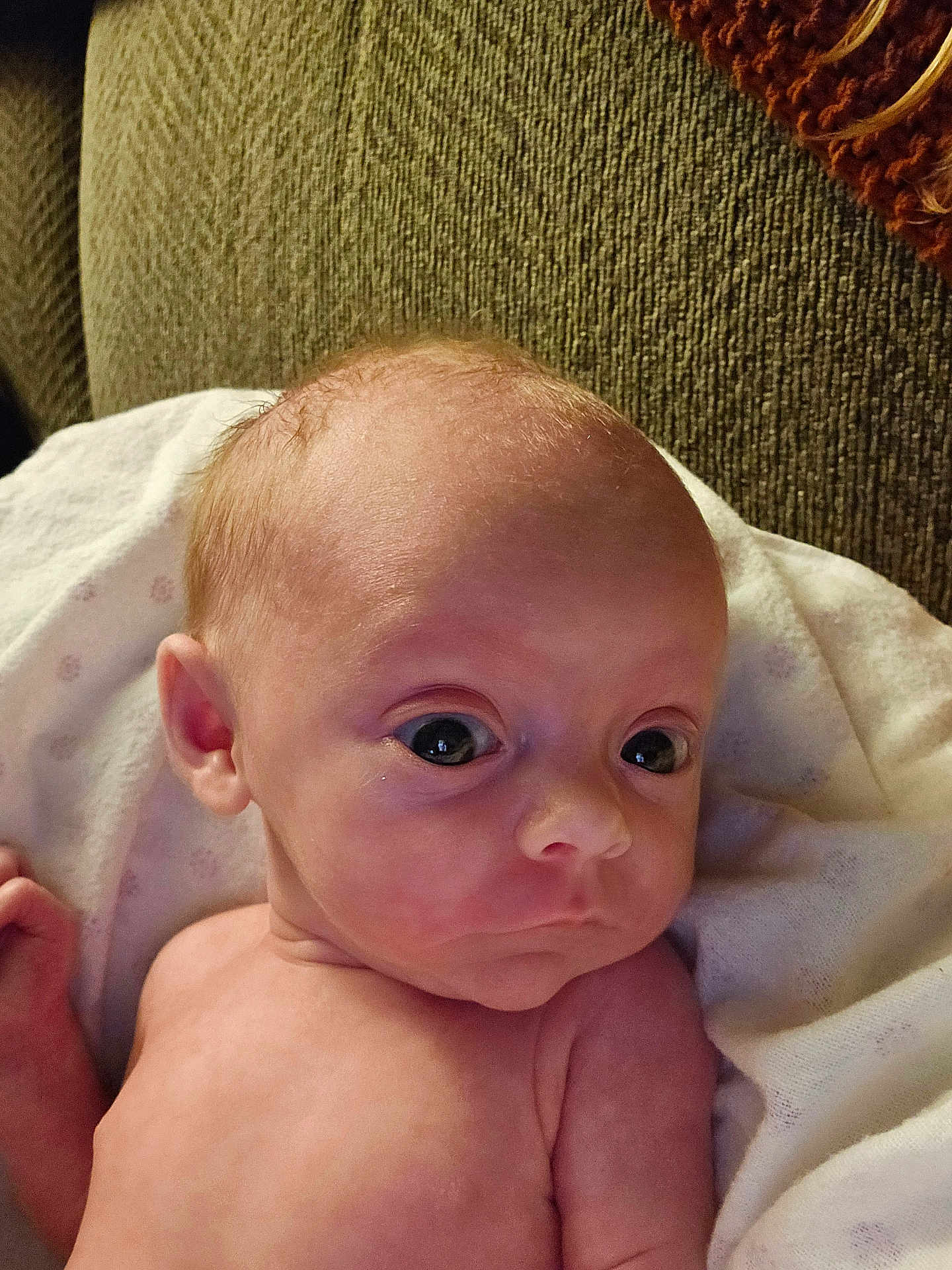 Ember is registered to the contest to win money with this photo: baby, newborn, infant, face, skin, blanket, couch, texture, expression, wide_eyes, head, ear, shoulder, soft_light, indoors, portrait, person, human, young_child, resting
