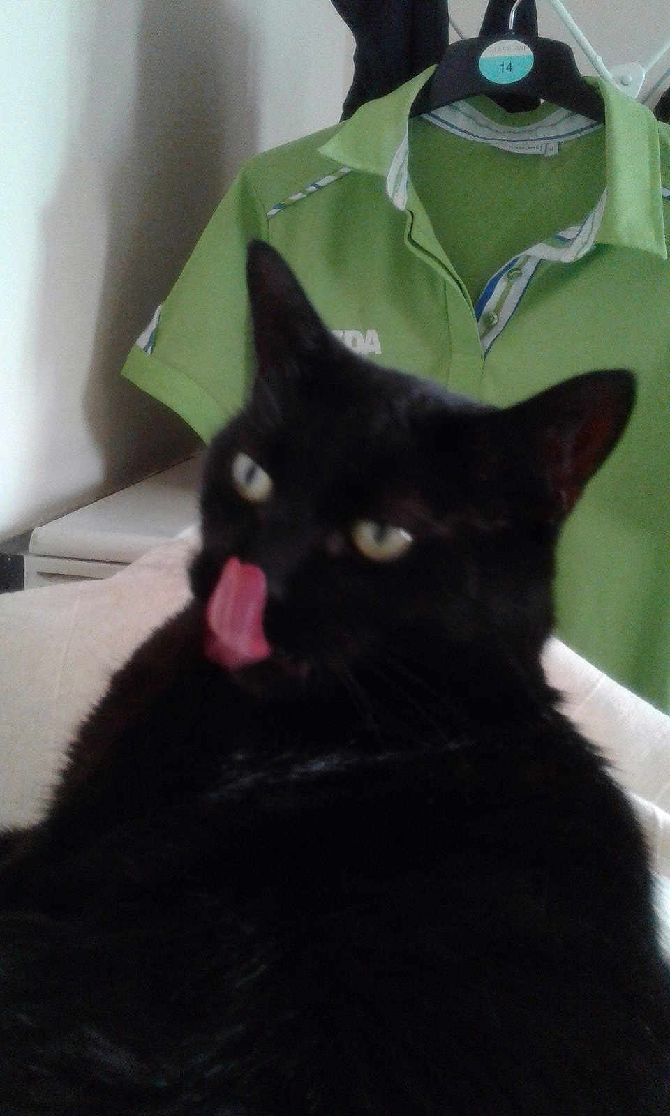 Zorro