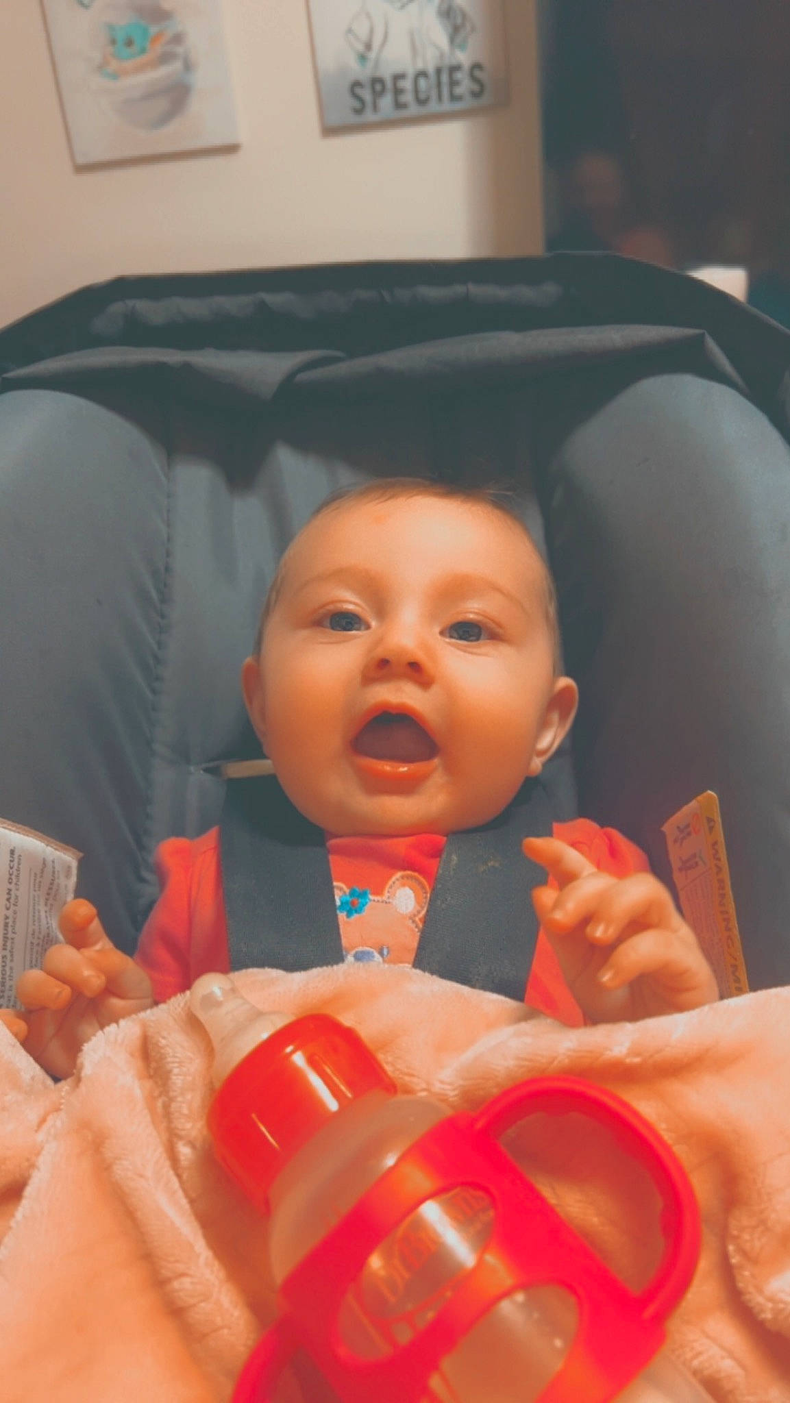 Paisley joined the competition — help win amazing prizes! baby, baby_products, baby_toddler_clothing, car_seat, chair, cheek, child, comfort, finger, fun, hand, happy, lip, mouth, nail, nose, person, plastic, skin, thumb