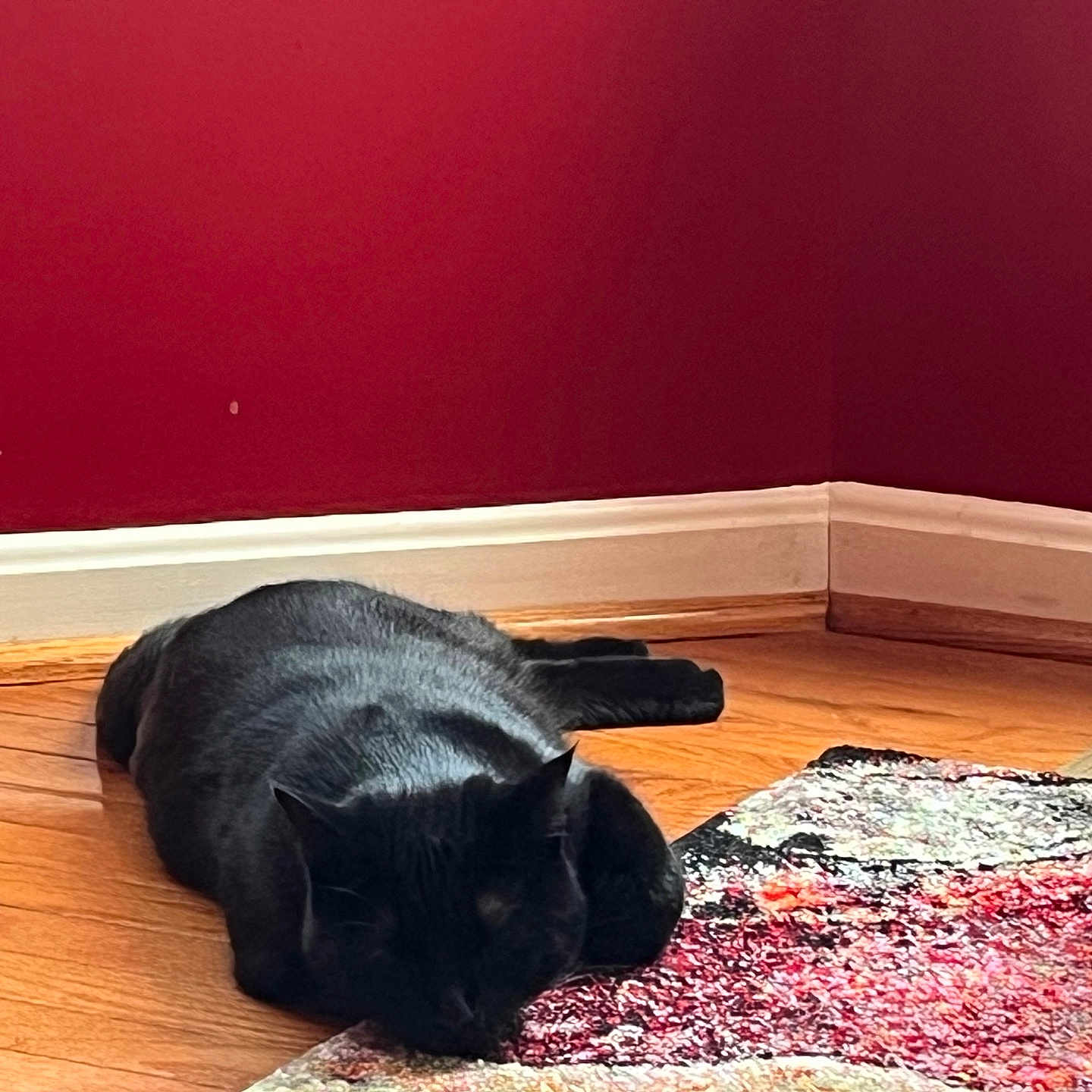 Luna