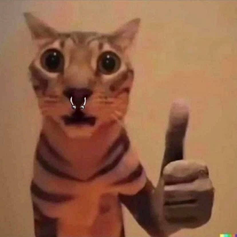 Billyjoe is registered to the contest to win money with this photo: carnivore, cat, domestic_short_haired_cat, ear, eye, fawn, felidae, finger, fur, gesture, hand, head, iris, sleeve, small_to_medium_sized_cats, snout, terrestrial_animal, thumb, whiskers, wrist