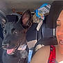 dog, black_dog, car_interior, person, smiling, sunlight, seat, collar, pet, happy, vehicle, window, backseat, clothing, headrest, tongue_out, ears, casual, seatbelt, daylight